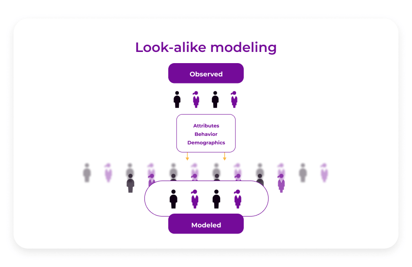 look alike modelling